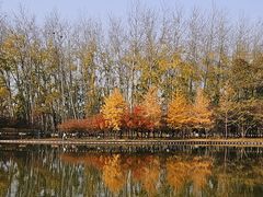 -仁和公园(顺义区)