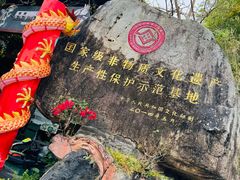 -海南槟榔谷黎苗文化旅游区