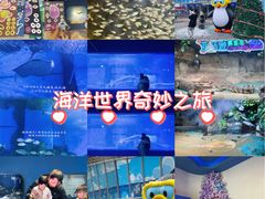 -重庆欢乐海底世界