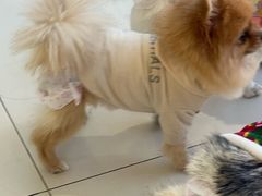 -怪兽屋·羊驼·猫咖·狗咖(俊华广场店)