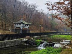 -白水寺森林公园