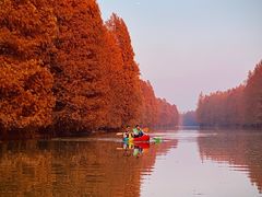 -上海海湾国家森林公园