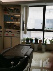 -碧莲盛·不剃发植发