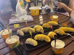 -榴莲BB 四季果园