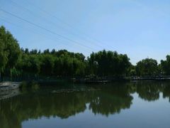 -黛秀湖公园