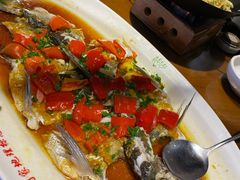 -丹江渔村(望京店)