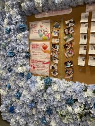 点击看大图 -doladola(徐家汇店)