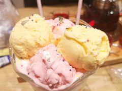 -藏猫猫咖啡主题馆(中央大道店)