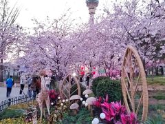 -中央广播电视塔