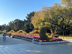 -北陵公园