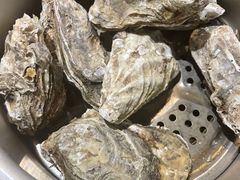 -庞家烧烤客栈(炮台山店)