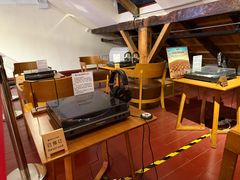 -树懒黑胶唱片店(中山路店)