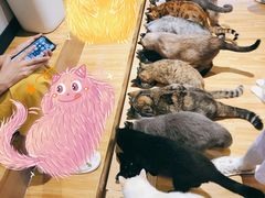 -啵啵喵·猫咖(攀华国际店)
