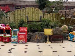 -老山东·山东菜(鲁菜名店)