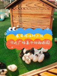 -萌宠亲子动物乐园(槐房万达店)