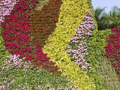 -深圳国际园林花卉博览园