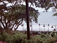 -卷心菜和避孕套餐厅(Pattaya)