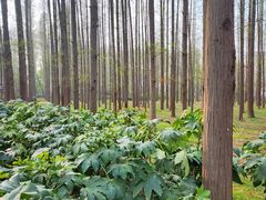 -河南省黄河迎宾馆