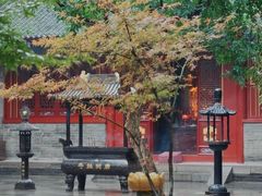 -罔极寺