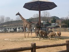 -大连森林动物园