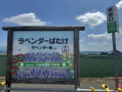 -富田农场