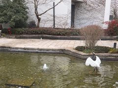 -广富林宰相府酒店·水云间
