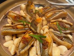 -呼吸森林·生态农庄农家乐私房菜