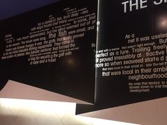 -鱼酷活鱼烤鱼(恒隆广场店)