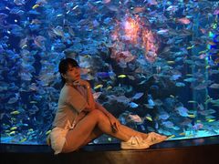 -成都浩海立方海洋公园