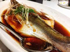 清蒸野生太湖白鱼-同庆楼(滨湖万达广场店)