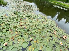 -上海植物园·停车场