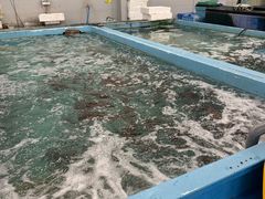 -南纪白浜Toretore市场