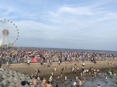 -奉贤海滩