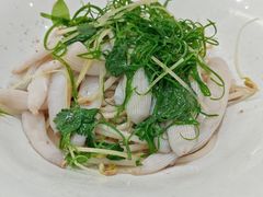 白灼沙虫-德云居
