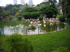 -九龙公园