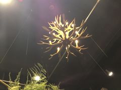 -BOBLOOM花店(宝龙旭辉广场店)