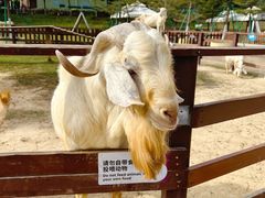 -盈香心动乐园
