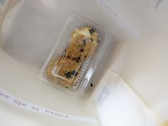 海苔小贝-六贤记(杭州龙湖滨江天街店)