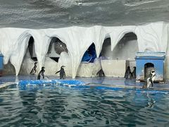 -太平洋海底世界