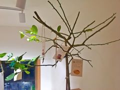 -Oasis coffee燕谷咖啡(公信店)