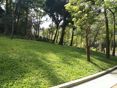 -云溪植物园
