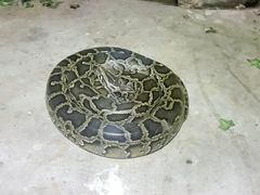 -太原动物园