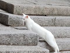 -崂山巨峰游览区