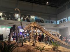 -自贡恐龙博物馆