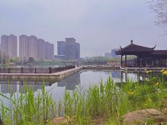 -洋湖国家湿地公园