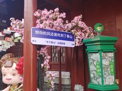 -泰山风景名胜区