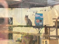 -青藏高原野生动物园