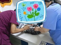 -宠颐生动物医院·心脏科·保险定点(锦阳分院)