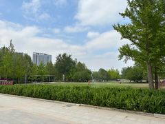 -大望京公园