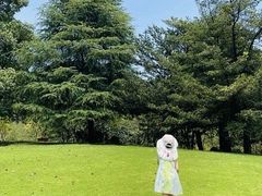-南山植物园